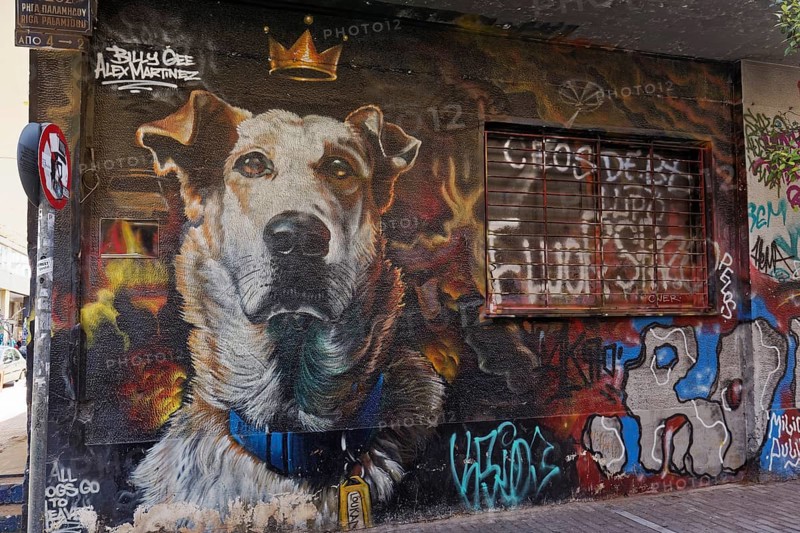 Portrait dog Lukanikos, street dog from the times of the Greek sovereign debt crisis, mural by Billy Gee & N Grams & Alex Martinez, Psirri neighbourhood, Athens, Greece, Europe