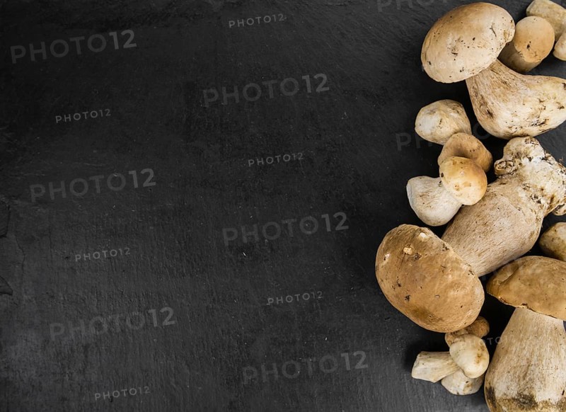 Slate slab with some fresh and raw Porcinis (selective focus, close-up shot)