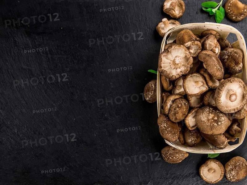 Portion of Raw Shiitake mushrooms on a rustic slate slab, selective focus, close-up shot
