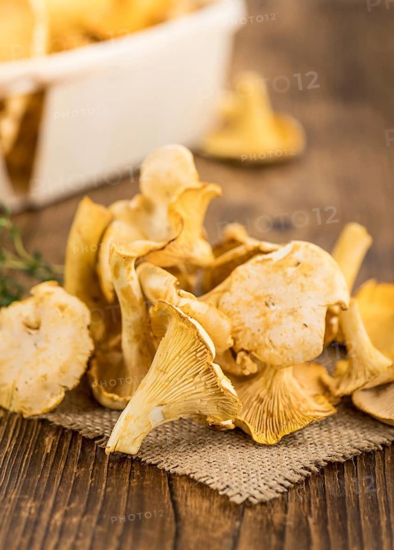 Fresh harvested Chanterelles (on a wooden table) as detailed close-up shot