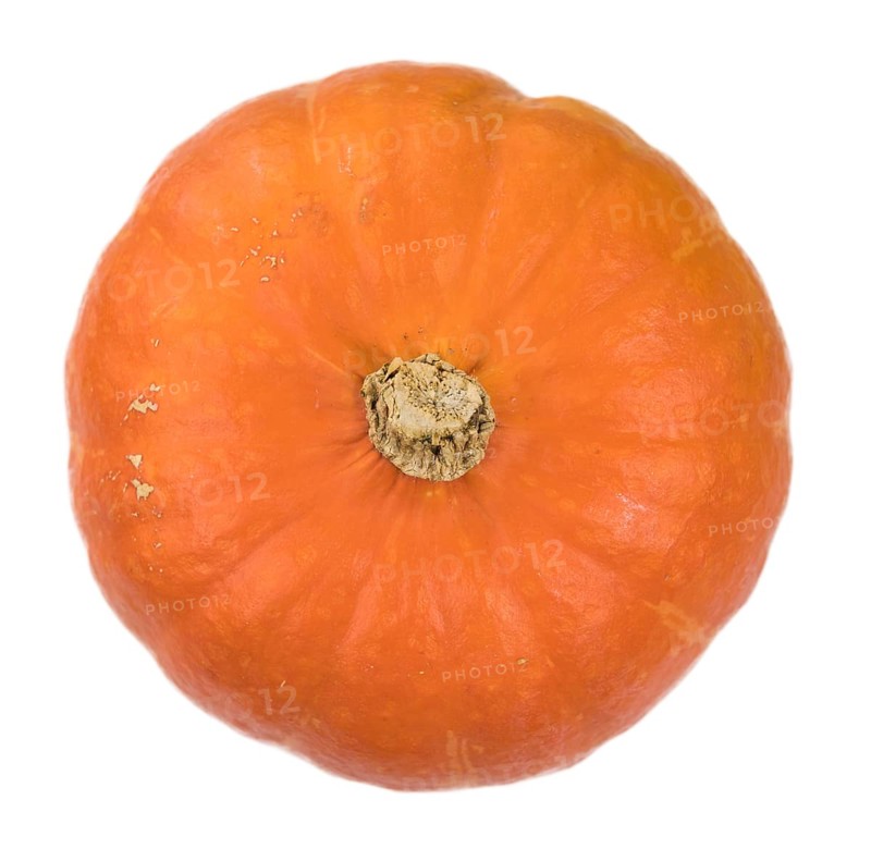 Portion of fesh Pumpkin (close-up shot) isolated on a white background