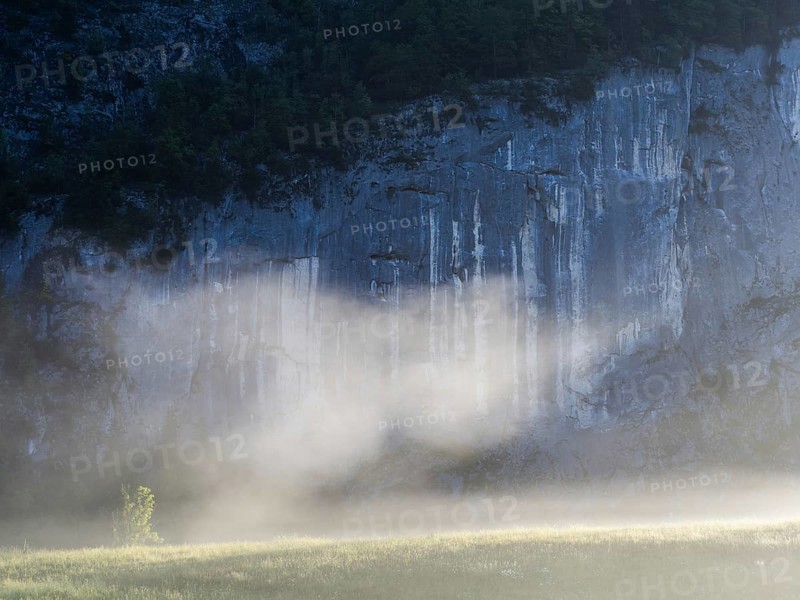 Morning atmosphere, early morning fog drifts over a meadow, behind the Gössler Wand, near Gössl, Salzkammergut, Styria, Austria, Europe