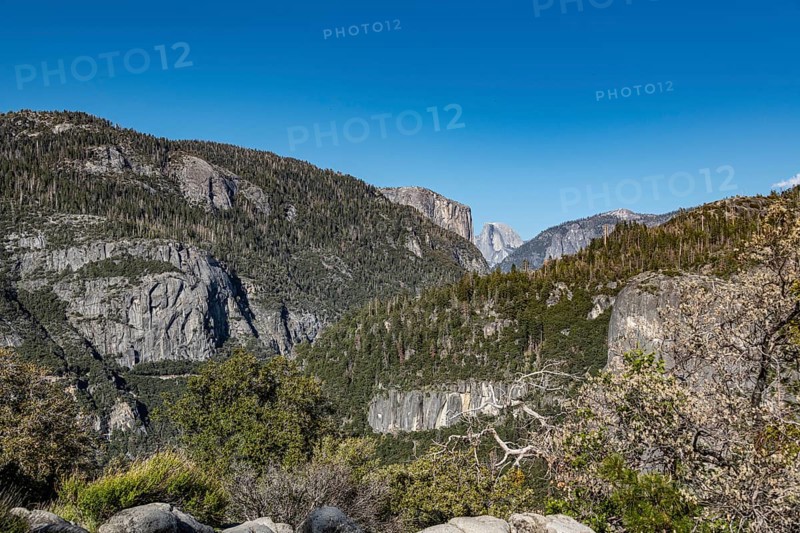 Scenic view in Yosemite NP with the Half Dome