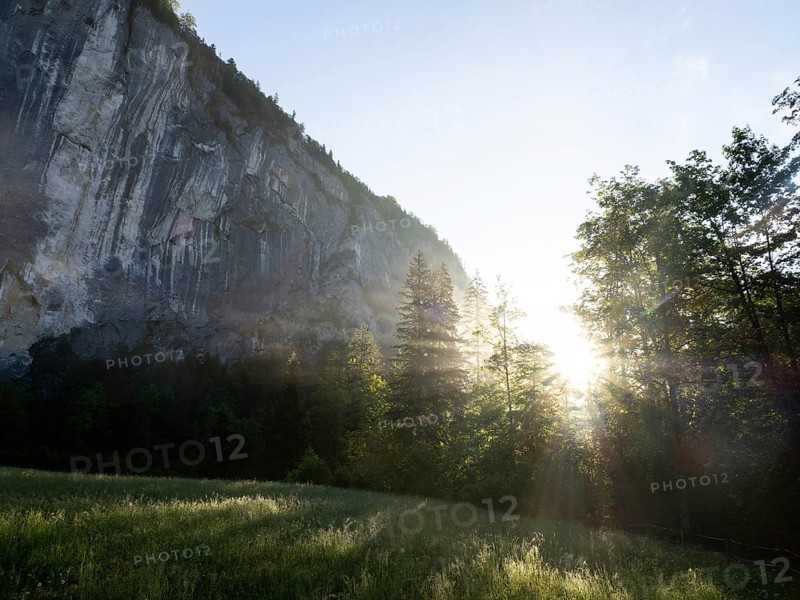 Morning atmosphere at sunrise, early morning fog over a meadow, behind the Gössler Wand, Gössl, Salzkammergut, Styria, Austria, Europe