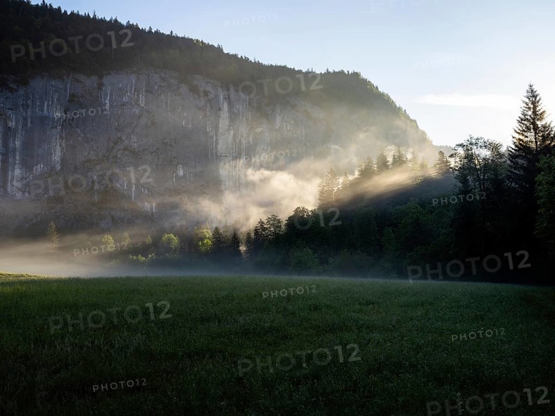 Morning atmosphere at sunrise, early morning fog over a meadow, behind the Gössler Wand, Gössl, Salzkammergut, Styria, Austria, Europe