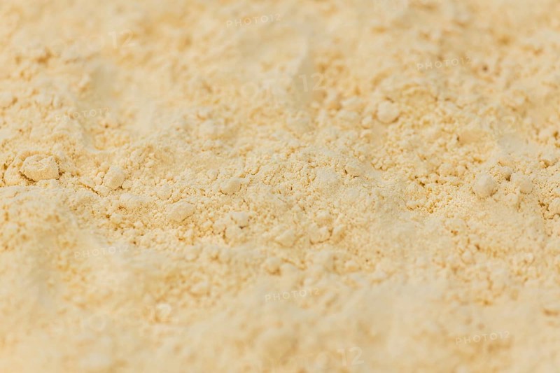 Powdered Eggs (fresh) as detailed close-up shot, selective focus)
