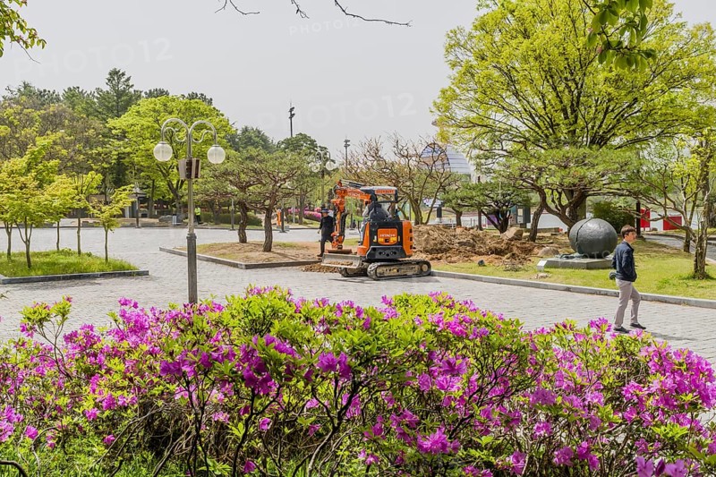 Urban park with ongoing construction work, an excavator, purple flower bushes, and trees on a bright day, in Suncheon, South Korea, Asia