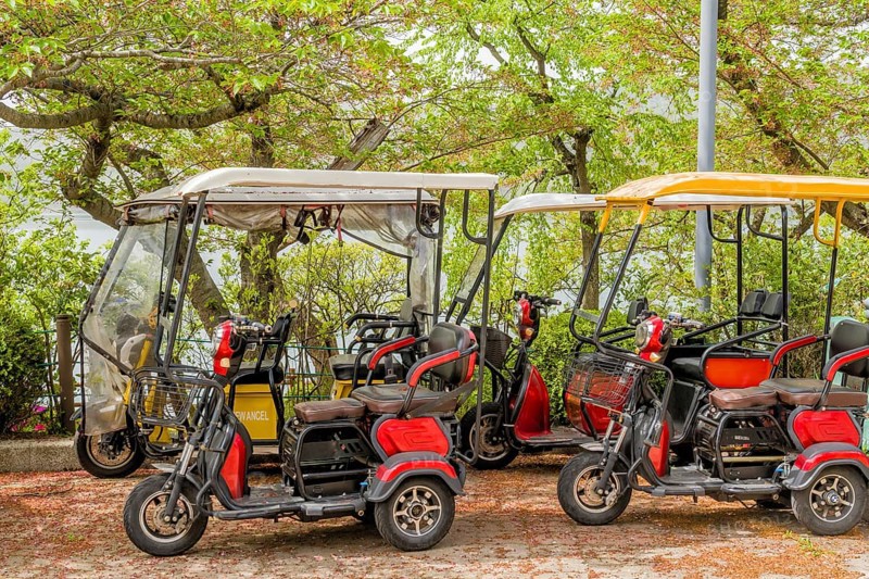 Electric golf carts parked among lush trees with a protective cover under a sunny sky, in Suncheon, South Korea, Asia