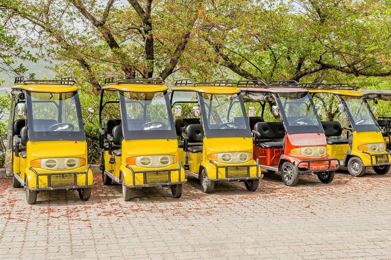 A row of yellow electric carts parked on a paved area under large trees, in Suncheon, South Korea, Asia
