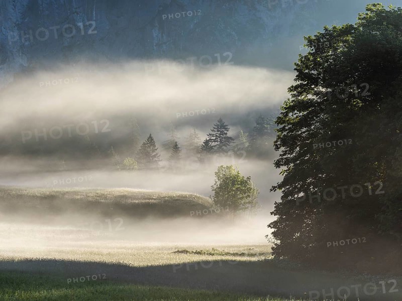 Early morning fog over forest and fields, Gössler Wand, Gössl, Salzkammergut, Styria, Austria, Europe