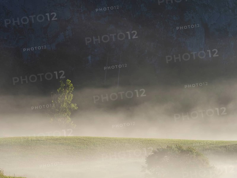 Early morning fog over forest and fields, Gössler Wand, Gössl, Salzkammergut, Styria, Austria, Europe