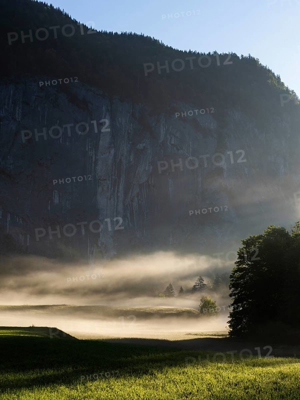 Early morning fog over forest and fields, Gössler Wand, Gössl, Salzkammergut, Styria, Austria, Europe
