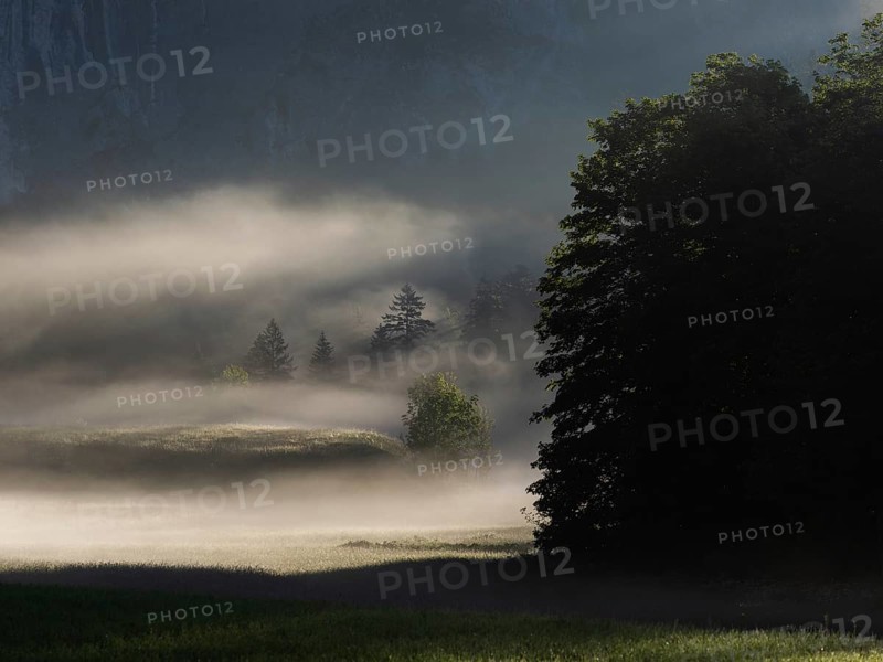 Early morning fog over forest and fields, Gössler Wand, Gössl, Salzkammergut, Styria, Austria, Europe