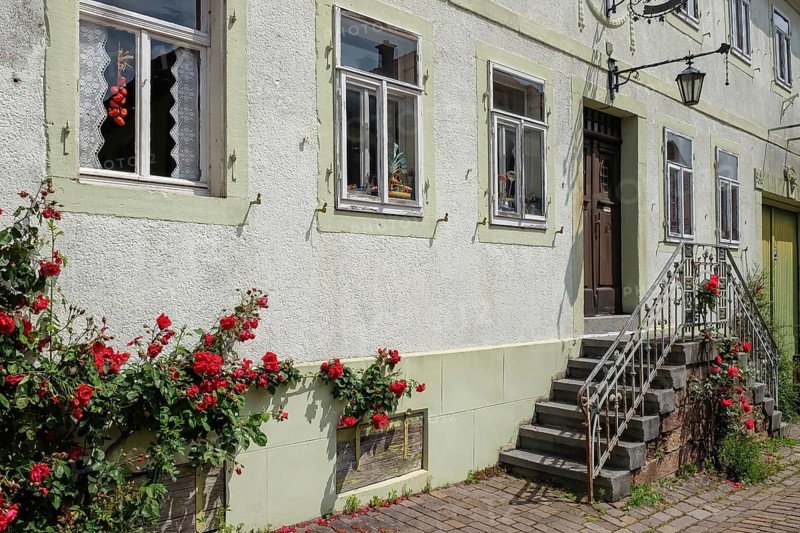 Winegrower's house in the historic Theresienstrasse, Rhodt unter Rietburg, German Wine Route, also Southern Wine Route, Palatinate, Rhineland-Palatinate, Germany, Europe
