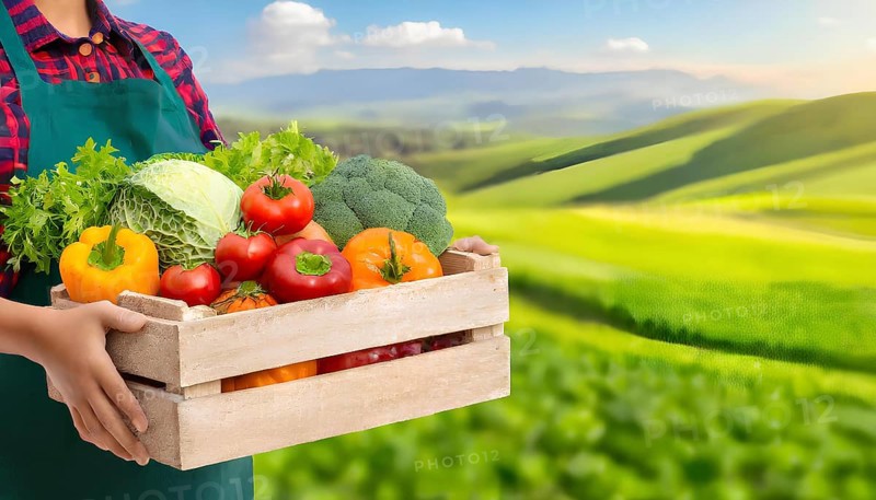 A woman is holding a wooden crate full of vegetables. The crate is filled with a variety of vegetables including broccoli, tomatoes, and peppers. The scene is set in a lush green field, AI generated