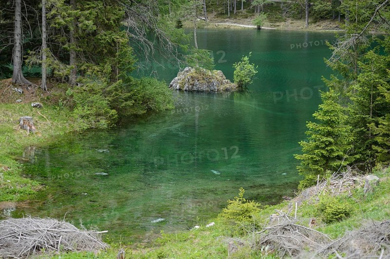A rock in the middle of a lake with clear green water, surrounded by forest and dense vegetation, Grüner See, Styria