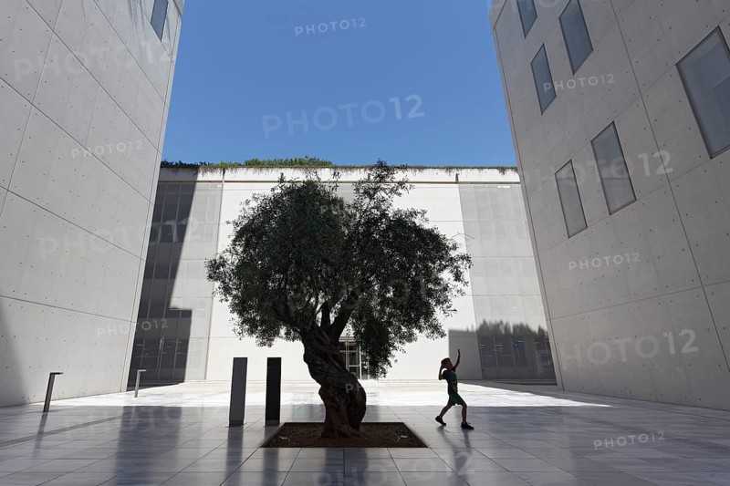 Young boy walking under an olive tree, silhouette between modern concrete architecture, cultural centre of the Stavros Niarchos Foundation, architect Renzo Piano, Kallithea, metropolitan region of Athens, Greece, Europe