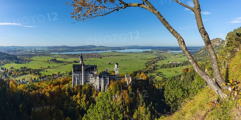 Neuschwanstein Castle near Hohenschwangau, Romantic Road, Ostallgäu, Bavaria, Germany, Europe