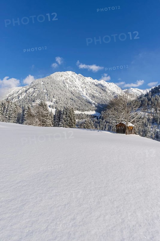 Snowy landscape, behind it Schattenberg, 1845m, Oberallgaeu, Allgaeu, Bavaria, Germany, Europe
