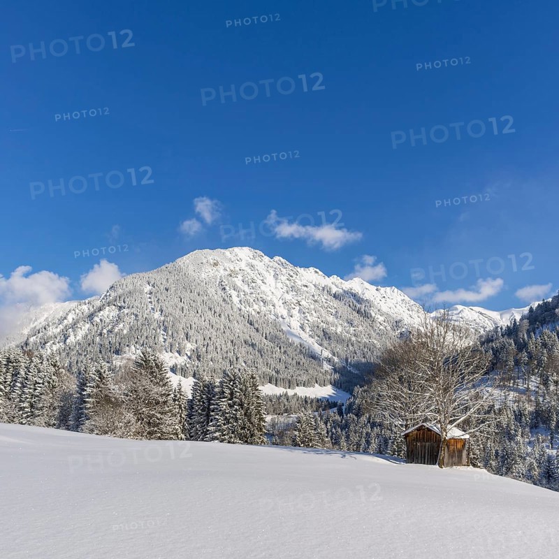 Snowy landscape, behind it Schattenberg, 1845m, Oberallgaeu, Allgaeu, Bavaria, Germany, Europe
