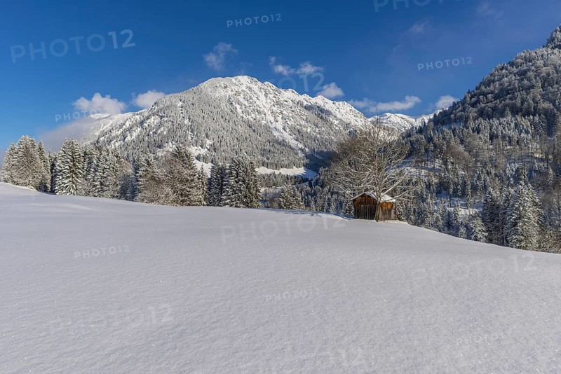 Snowy landscape, behind Schattenberg, 1845m, and Riffenkopf, 1748m, Oberallgaeu, Allgaeu, Bavaria, Germany, Europe