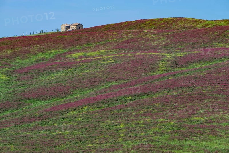 Landscape around San Quirico dOrcia, Val d'Orcia, Orcia Valley, UNESCO World Heritage Site, Province of Siena, Tuscany, Italy, Europe