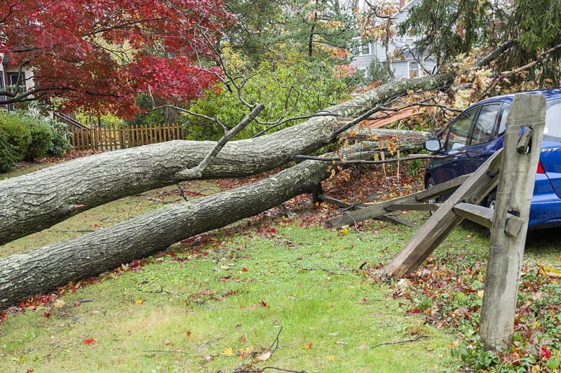 Chappaqua, NY, USA 30 Oct 2012: Scene of damage the day after Hurricane force winds from Hurricane Sandy hit Westchester County New York. Fallen trees caused the most severe damage in towns not on the water, as seen here the day after the storm. Elsewhere in the vicinity three people, including two children, died when trees fell on homes