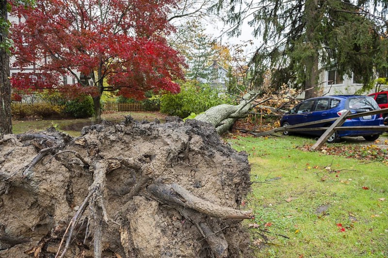 Chappaqua, NY, USA 30 Oct 2012: Scene of damage the day after Hurricane force winds from Hurricane Sandy hit Westchester County New York. Fallen trees caused the most severe damage in towns not on the water, as seen here the day after the storm. Elsewhere in the vicinity three people, including two children, died when trees fell on homes
