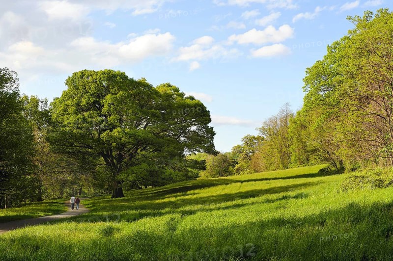 A couple holding hands walks on a winding path in a beautiful natural setting with lush trees and waving green grasses in the spring. Seen from behind. Blue sky and cumulus clouds. Wide angle view from slightly above eye level