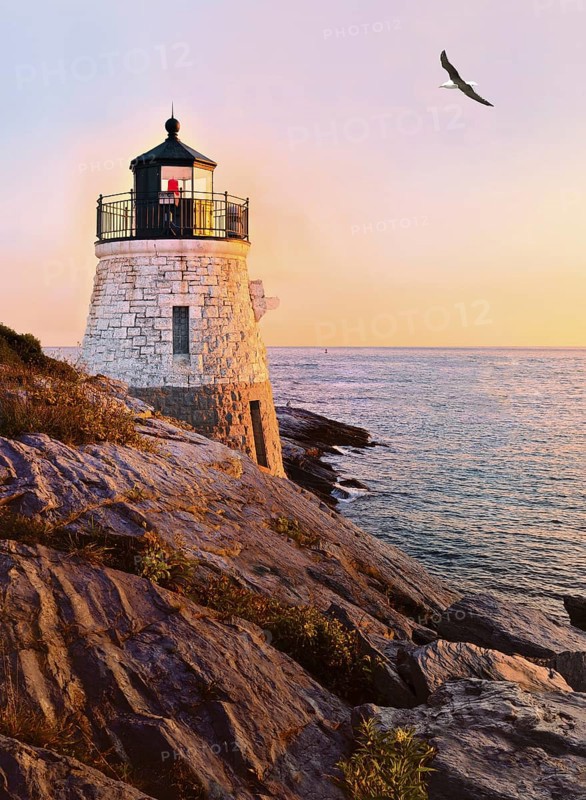 Castle Hill Lighthouse at twilight as the sun sets, overlooking Narragansett Bay, Newport, Rhode Island, USA. A herring gull Larus argentatus flies overhead. The granite lighthouse was completed in 1890. It was built right into the face of the cliff and remains an active aid to navigation, its red light flashes every thirty seconds