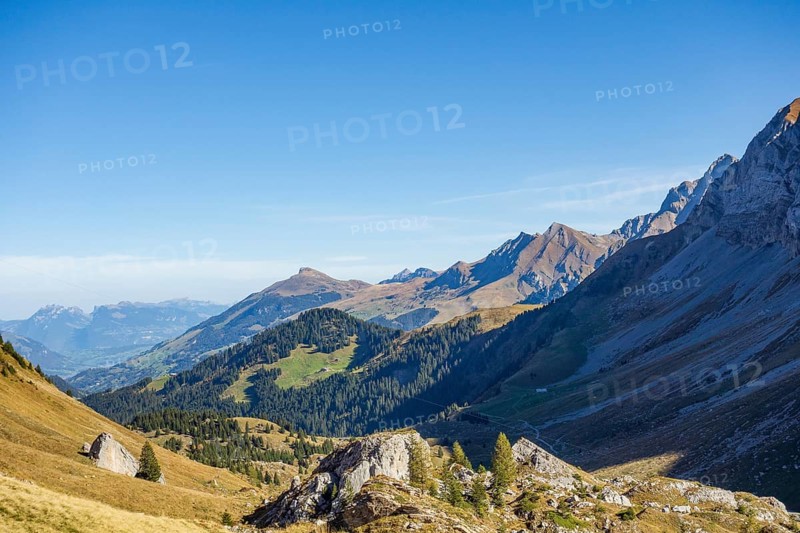 Panoramic view of a mountain landscape with a wide valley surrounded by green meadows and densely wooded hills under a clear sky, saas Fee, Alps, Switzerland, Europe