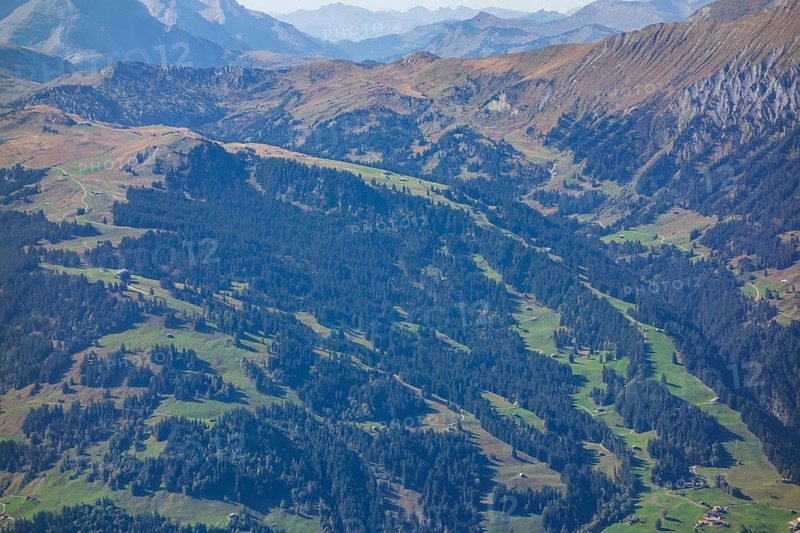 Extensive mountainous landscape with dense forests, green meadows and clear views, Grisons, Switzerland, Europe