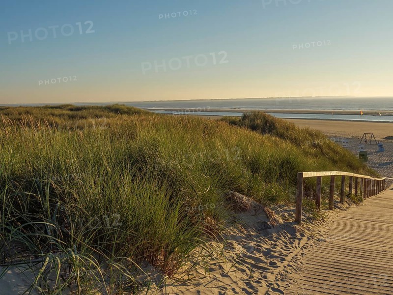 A wooden path leads through the dunes to a beach, the sunlight shines through the grass, blue sea in the background, langeoog, germany