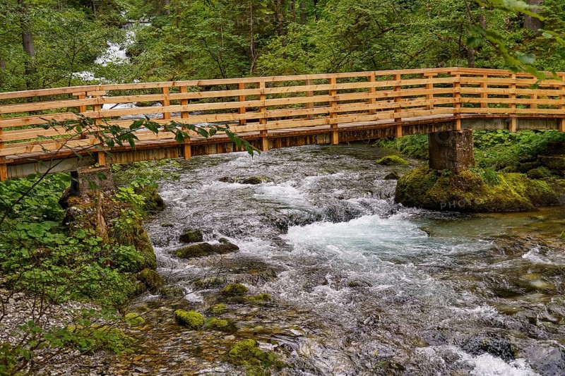 Wooden bridge over a rushing river in the forest, surrounded by lush vegetation, Gosau, Austria, Europe