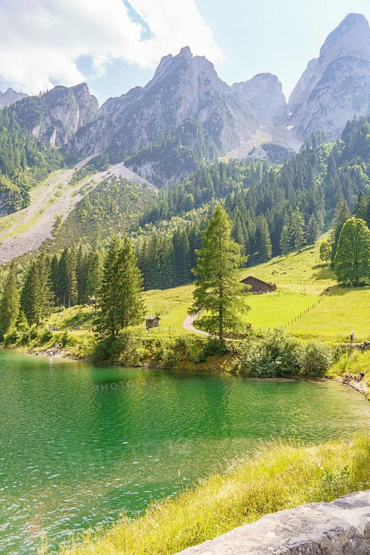 A tranquil lake in an idyllic mountain landscape, surrounded by meadows and forests under a clear sky, Gosau, Austria, Europe