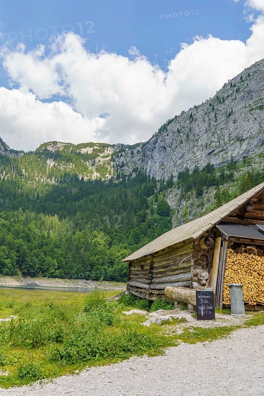 A wooden hut with a pile of wood in front of it, embedded in a mountainous and wooded landscape under a partly cloudy sky, Gosau, Austria, Europe
