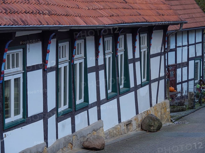 Row of half-timbered houses with white windows and red roofs lining a narrow lane in autumn, Tecklenburg, North Rhine-Westphalia, Germany, Europe