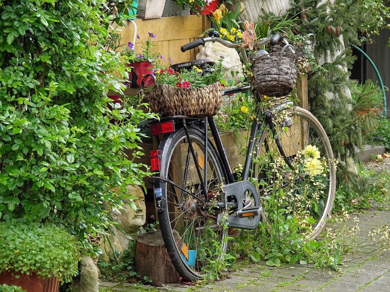 Bicycle decorated with flowers and plants to create a rustic garden atmosphere, Westerholt, Herten Ruhr area, North Rhine-Westphalia, Germany, Europe