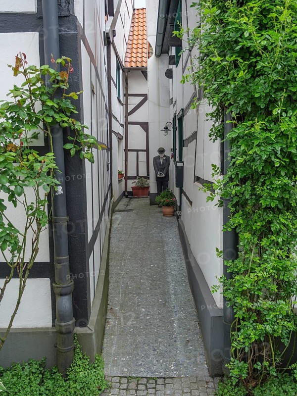 Narrow passageway between half-timbered houses, decorated with plants and roses, creates a peaceful and historic atmosphere, Westerholt, Herten Ruhr area, North Rhine-Westphalia, Germany, Europe