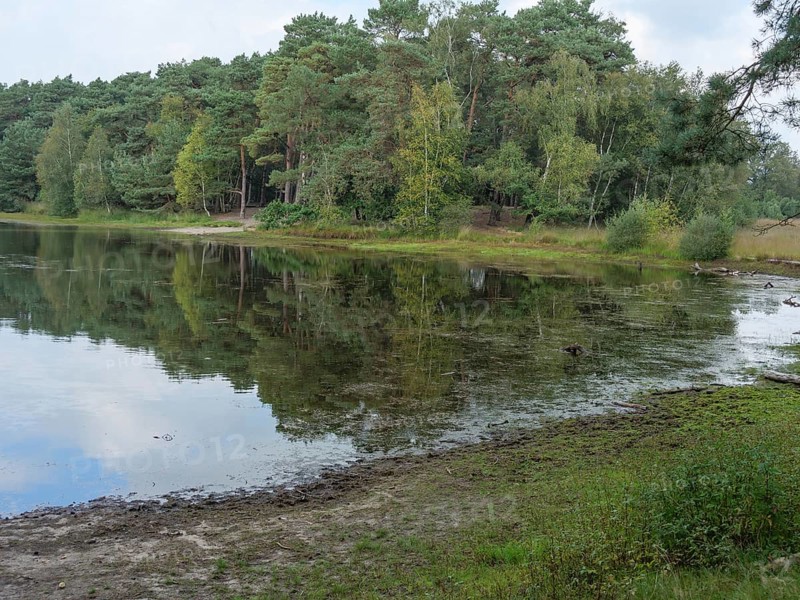 A lake with a calm water surface surrounded by a dense forest and green meadow, haaksbergen, . netherlands