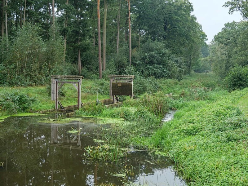 A quiet river with a small wooden bridge, surrounded by a dense green forest, haaksbergen, . netherlands