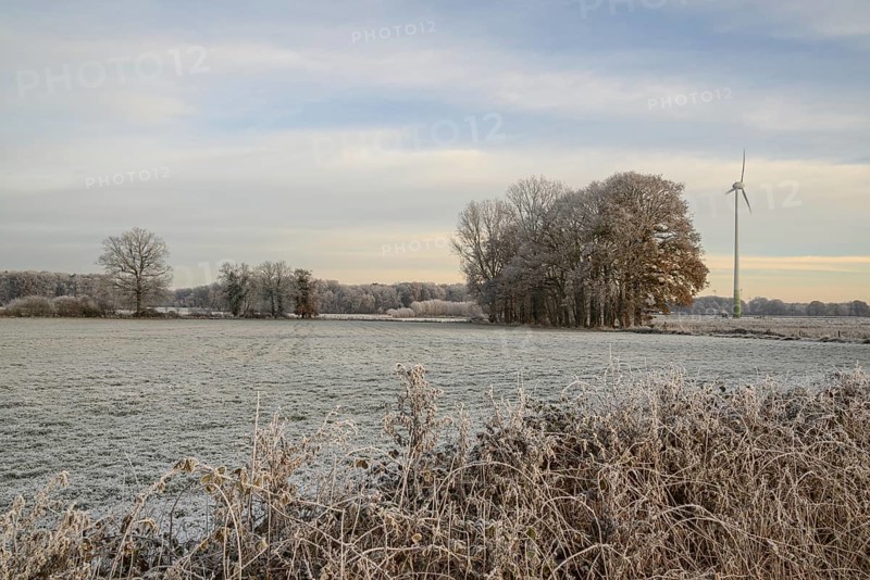 A peaceful winter pasture with a windmill and bare trees under a pale sky, Velen, North Rhine-Westphalia, GERMANY