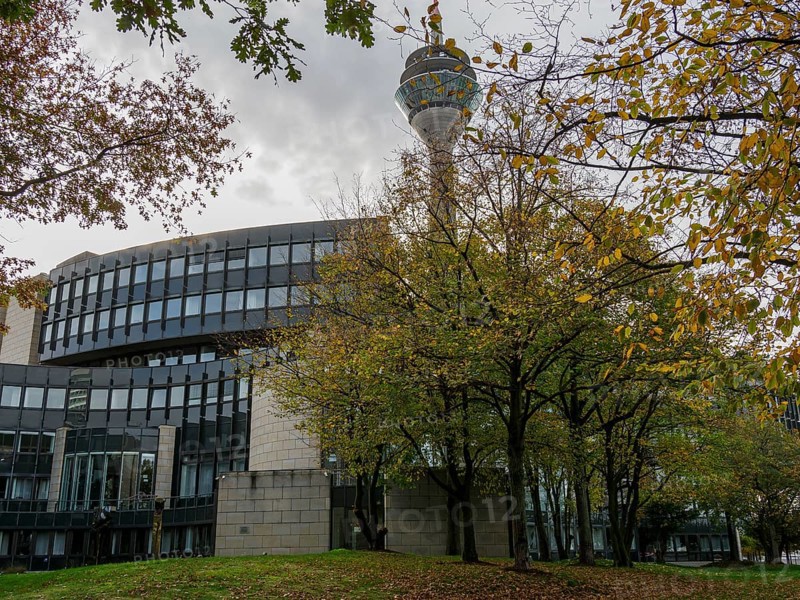 Modern architecture of a building and the television tower, surrounded by autumnal trees and a cloudy sky. The atmosphere is calm and urban, Düsseldorf, North Rhine-Westphalia, GERMANY