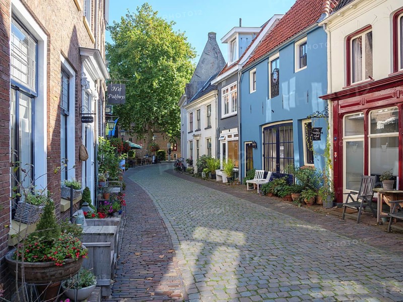 Narrow cobbled alley with historic buildings, facades and plants that are illuminated in sunny weather, Doesburg, Netherlands