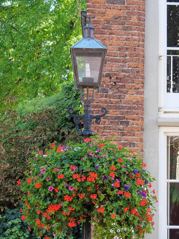 Close-up of a street lamp with a flowering hanging basket in front of a brick building with windows, Doesburg, Netherlands