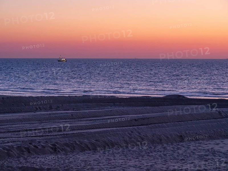 A boat sails on the sea during sunset, the beach shows traces in the sand and the atmosphere is peaceful, de haan, Belgium, Europe