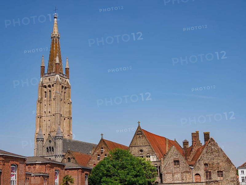 Historic church tower and buildings with tiled roofs, trees and blue sky on a sunny day, Bruges, Belgium, Europe