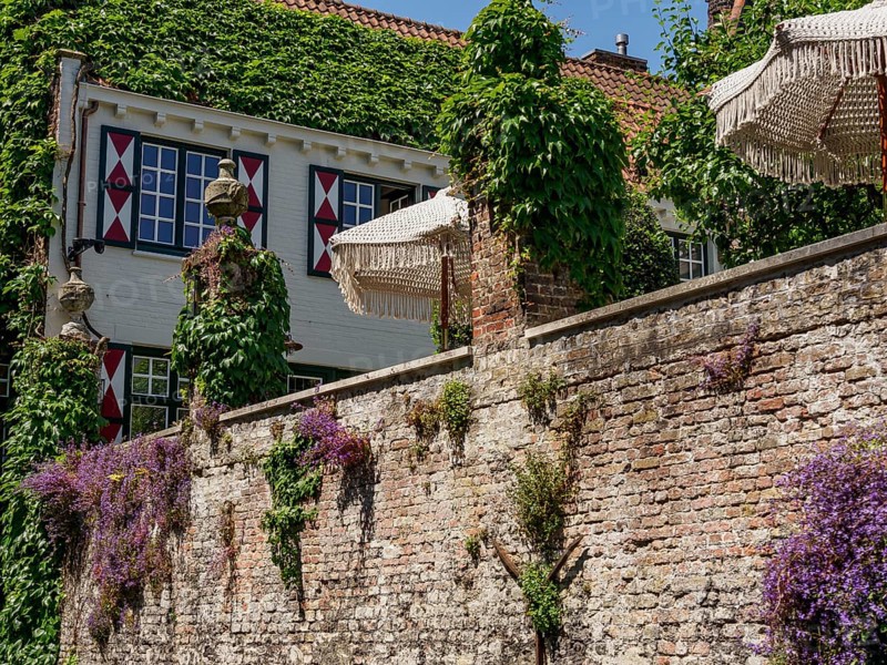 An ivy-covered house with decorative shutters, umbrellas on a stone wall, lined with red tiled roofs, creates a cosy atmosphere, Bruges, Belgium, Europe
