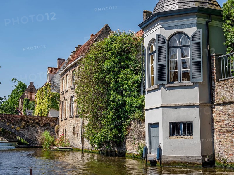 Historic houses with overgrown facades along a canal, Bruges, Belgium, Europe
