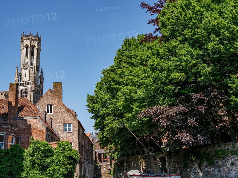 Historic houses and a tower surrounded by lush green foliage on a sunny day, Bruges, Belgium, Europe